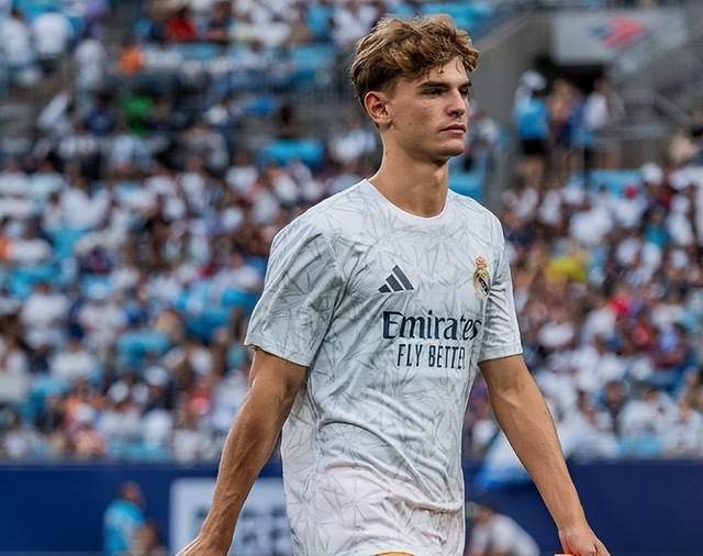 冰球和冰壶 冰球和冰壶