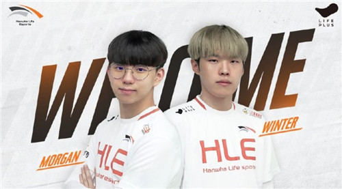 无疑为训练 无疑为训练