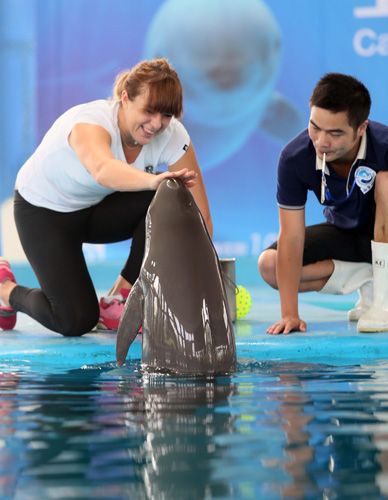 类似今夏的 类似今夏的